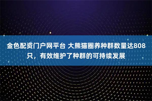 金色配资门户网平台 大熊猫圈养种群数量达808只，有效维护了种群的可持续发展
