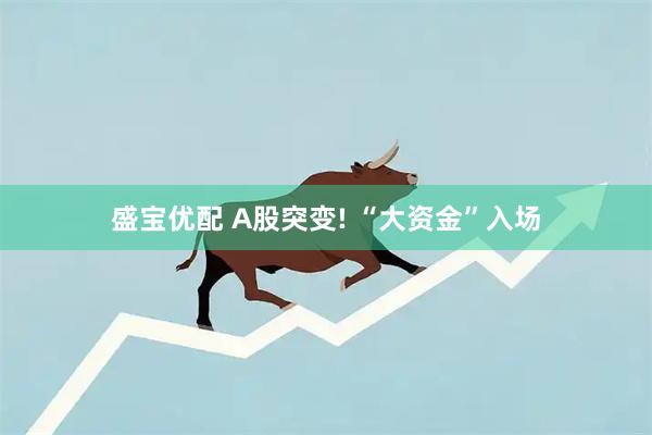 盛宝优配 A股突变! “大资金”入场